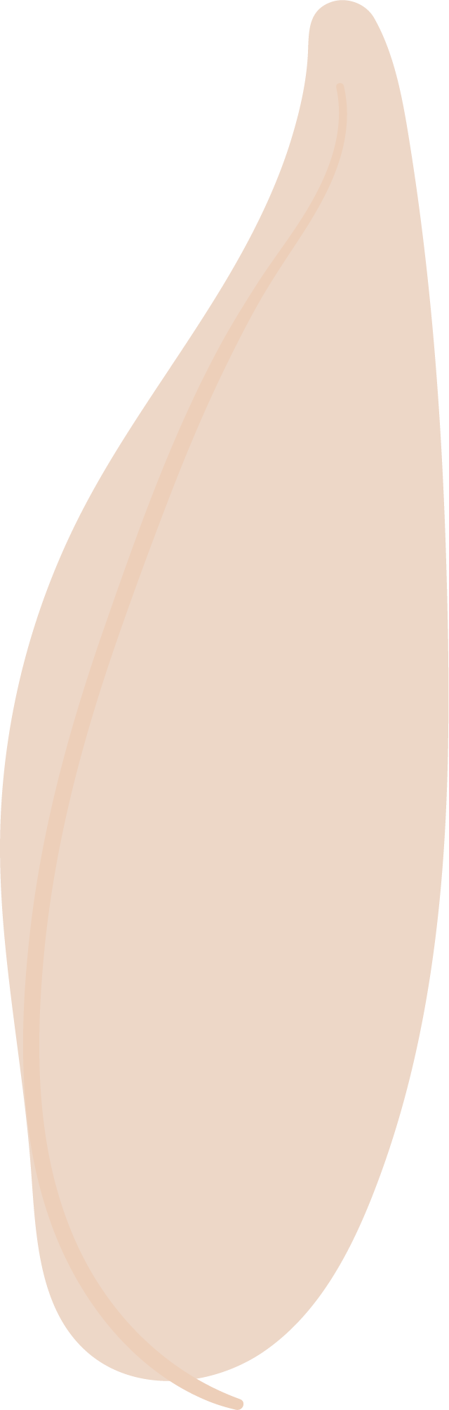 qjpyyn6