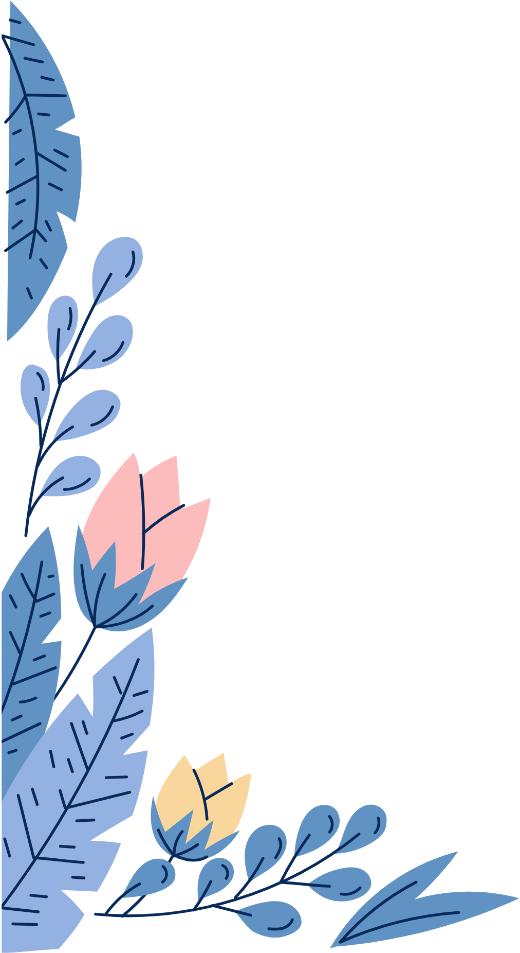 anlcpnf